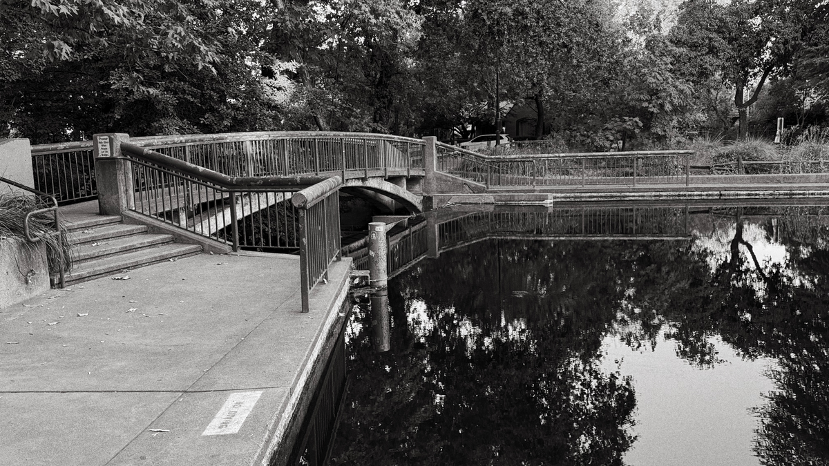 Uncovering the Poop Problem: What's Really Fouling Big Chico Creek?